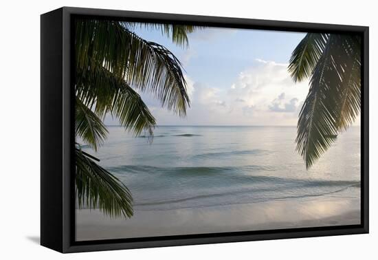 Landscape with Palm Leaves and Beach at Sunset, Grand Anse, Praslin Island, Seychelles-Guido Cozzi-Framed Stretched Canvas