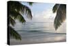 Landscape with Palm Leaves and Beach at Sunset, Grand Anse, Praslin Island, Seychelles-Guido Cozzi-Stretched Canvas