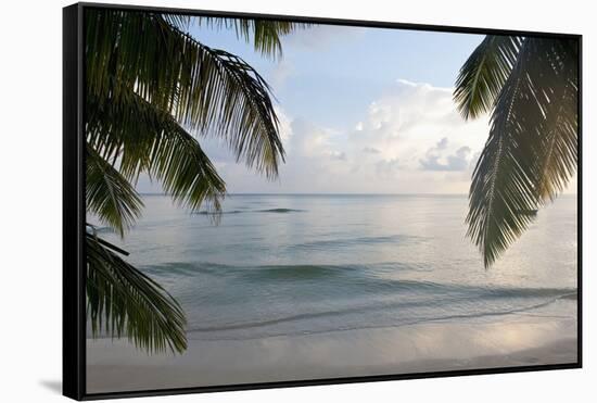 Landscape with Palm Leaves and Beach at Sunset, Grand Anse, Praslin Island, Seychelles-Guido Cozzi-Framed Stretched Canvas