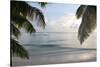 Landscape with Palm Leaves and Beach at Sunset, Grand Anse, Praslin Island, Seychelles-Guido Cozzi-Stretched Canvas