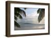 Landscape with Palm Leaves and Beach at Sunset, Grand Anse, Praslin Island, Seychelles-Guido Cozzi-Framed Photographic Print