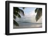 Landscape with Palm Leaves and Beach at Sunset, Grand Anse, Praslin Island, Seychelles-Guido Cozzi-Framed Photographic Print