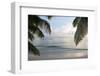 Landscape with Palm Leaves and Beach at Sunset, Grand Anse, Praslin Island, Seychelles-Guido Cozzi-Framed Photographic Print