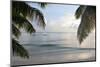 Landscape with Palm Leaves and Beach at Sunset, Grand Anse, Praslin Island, Seychelles-Guido Cozzi-Mounted Photographic Print