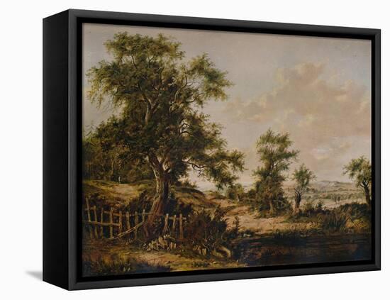 Landscape, with Pool and Tree in foreground, 1828-Patrick Nasmyth-Framed Stretched Canvas