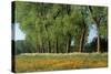 Landscape with Poplars, Cow Parsley and Meadow Buttercup-null-Stretched Canvas