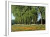 Landscape with Poplars, Cow Parsley and Meadow Buttercup-null-Framed Photographic Print