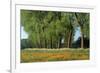 Landscape with Poplars, Cow Parsley and Meadow Buttercup-null-Framed Photographic Print