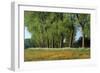 Landscape with Poplars, Cow Parsley and Meadow Buttercup-null-Framed Photographic Print