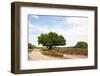 Landscape with Purple Heath Fields in Summer-Ivonnewierink-Framed Photographic Print