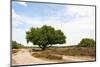 Landscape with Purple Heath Fields in Summer-Ivonnewierink-Mounted Photographic Print