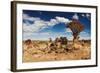 Landscape with Quiver Trees (Aloe Dichotoma), South Namibia-DmitryP-Framed Photographic Print