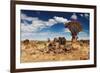 Landscape with Quiver Trees (Aloe Dichotoma), South Namibia-DmitryP-Framed Photographic Print