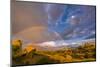 Landscape with rainbow in desert, Texas Canyon, Dragoon Mountains, Chihuahuan Desert, Arizona, USA-Panoramic Images-Mounted Photographic Print