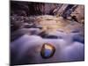 Landscape with river in canyon, Zion National Park, Utah, USA-Panoramic Images-Mounted Photographic Print
