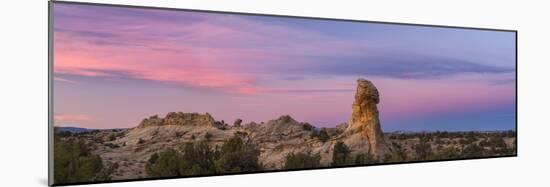 Landscape with rock formation in desert at sunset, Grand Staircase-Escalante National Monument,...-Panoramic Images-Mounted Photographic Print