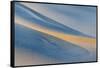 Landscape with sand dunes in desert, Mesquite Flat Dunes, Death Valley National Park, California...-Panoramic Images-Framed Stretched Canvas