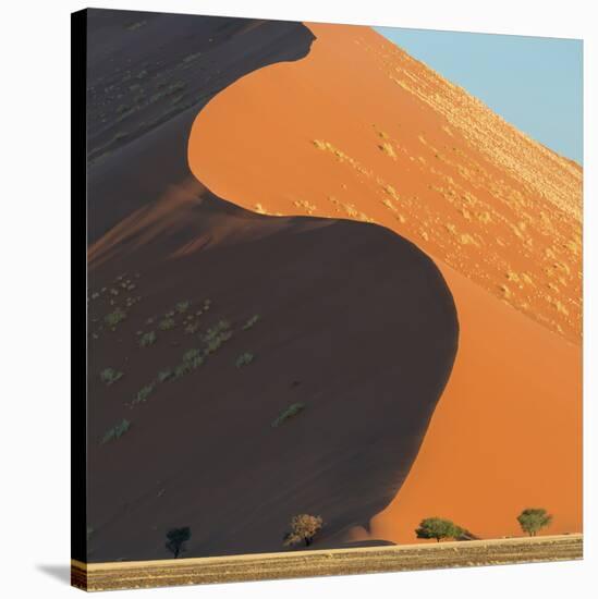 Landscape with sand dunes in desert, Sossusvlei, Namib Desert, Namibia-Panoramic Images-Stretched Canvas