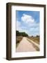 Landscape with Sand Path Purple Heath Fields in Summer-Ivonnewierink-Framed Photographic Print