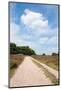 Landscape with Sand Path Purple Heath Fields in Summer-Ivonnewierink-Mounted Photographic Print