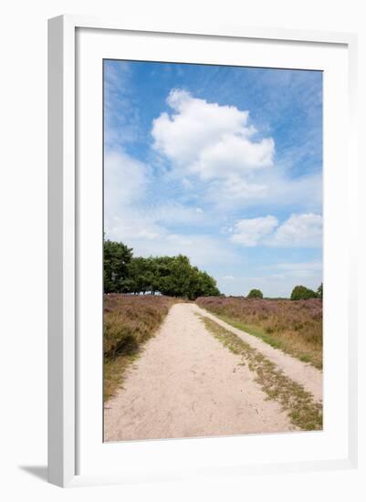 Landscape with Sand Path Purple Heath Fields in Summer-Ivonnewierink-Framed Photographic Print