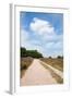 Landscape with Sand Path Purple Heath Fields in Summer-Ivonnewierink-Framed Photographic Print