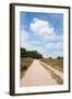 Landscape with Sand Path Purple Heath Fields in Summer-Ivonnewierink-Framed Photographic Print