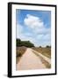 Landscape with Sand Path Purple Heath Fields in Summer-Ivonnewierink-Framed Photographic Print