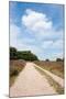 Landscape with Sand Path Purple Heath Fields in Summer-Ivonnewierink-Mounted Photographic Print