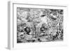Landscape with Satyrs, C1530-1540-Titian (Tiziano Vecelli)-Framed Giclee Print