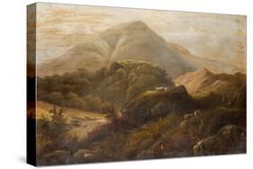 Landscape with Sheep-Anthony Graham-Stretched Canvas