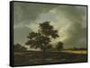 Landscape with Shepherds and Peasants-Jacob Van Ruysdael-Framed Stretched Canvas