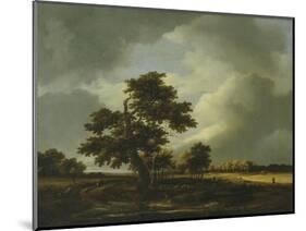 Landscape with Shepherds and Peasants-Jacob Van Ruysdael-Mounted Giclee Print