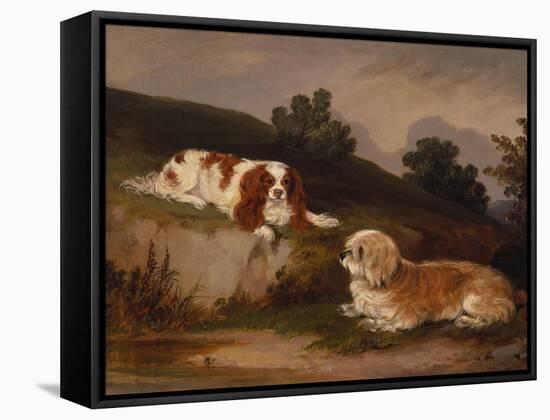 Landscape with Spaniel and Terrier, 1846-William Pascoe-Framed Stretched Canvas