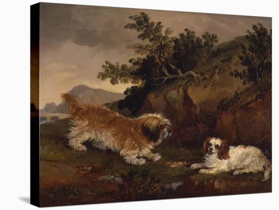 Landscape with Spaniel and Terrier, 1846-William Pascoe-Stretched Canvas