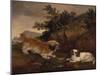 Landscape with Spaniel and Terrier, 1846-William Pascoe-Mounted Giclee Print