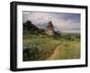 Landscape With Sunflowers, Devil's Garden, Colorado Springs, Colorado, USA-Alison Jones-Framed Photographic Print