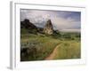 Landscape With Sunflowers, Devil's Garden, Colorado Springs, Colorado, USA-Alison Jones-Framed Photographic Print