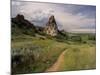 Landscape With Sunflowers, Devil's Garden, Colorado Springs, Colorado, USA-Alison Jones-Mounted Photographic Print