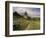 Landscape With Sunflowers, Devil's Garden, Colorado Springs, Colorado, USA-Alison Jones-Framed Photographic Print