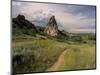 Landscape With Sunflowers, Devil's Garden, Colorado Springs, Colorado, USA-Alison Jones-Mounted Photographic Print