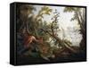 Landscape with Swans-Francois Boucher-Framed Stretched Canvas