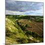 landscape with the castle ruins Rudelsburg and Saaleck and knight's estaite Kreipitzsch in the 'Saa-Andreas Vitting-Mounted Photographic Print