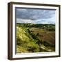 landscape with the castle ruins Rudelsburg and Saaleck and knight's estaite Kreipitzsch in the 'Saa-Andreas Vitting-Framed Photographic Print