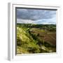 landscape with the castle ruins Rudelsburg and Saaleck and knight's estaite Kreipitzsch in the 'Saa-Andreas Vitting-Framed Photographic Print