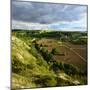 landscape with the castle ruins Rudelsburg and Saaleck and knight's estaite Kreipitzsch in the 'Saa-Andreas Vitting-Mounted Photographic Print