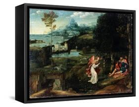 Landscape with the Legend of Saint Roch, Early 16th Century-Joachim Patinir-Framed Stretched Canvas