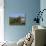 Landscape with the White Mountains in the Fall, Near Jackson, New Hampshire, New England, USA-Fraser Hall-Photographic Print displayed on a wall