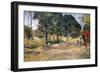 Landscape with Three Trees (Paysage Aux Trois Arbres), 1892-Paul Gauguin-Framed Giclee Print