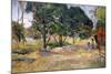 Landscape with Three Trees (Paysage Aux Trois Arbres), 1892-Paul Gauguin-Mounted Giclee Print